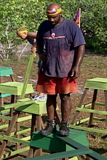 While the Cats Are Away