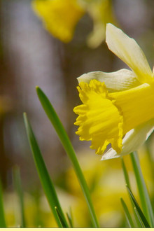 Episode 3 - Easter Special