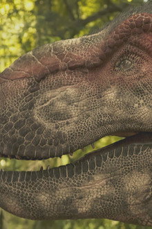 Dinosaur Apocalypse: The New Evidence