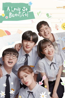 A Love So Beautiful poster