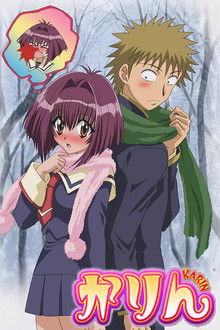 Karin: Chibi Vampire poster