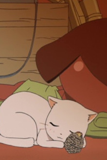 Keroro: A Whole Bunch of Animal Soldiers / Giroro: The Cat Wants to Speak