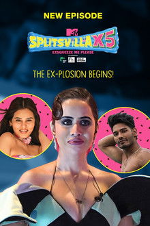 MTV Splitsvilla poster