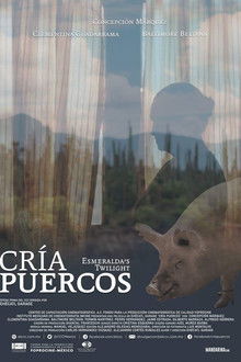 Esmeralda’s Twilight poster