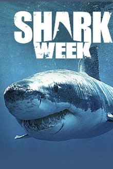 Shark Week Shark Week