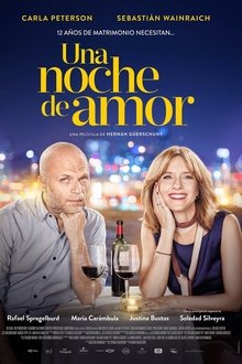 Una noche de amor (2016)