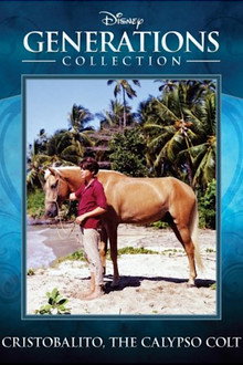 Cristobalito, the Calypso Colt poster