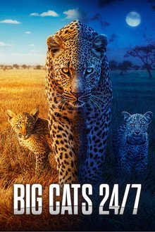 Big Cats 24/7 poster