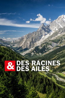 Des racines & des ailes poster