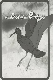 The Last of the Curlews poster