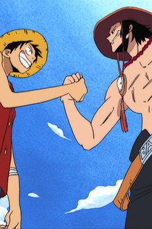 Ace and Luffy! Hot Emotions and Brotherly Bonds!
