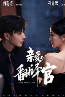 亲爱的翻译官 poster