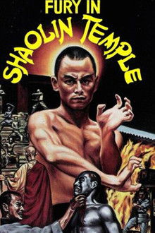 Fury in Shaolin Temple poster