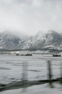 The Fast Food and the Furious