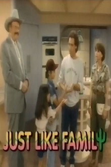 Just Like Family poster