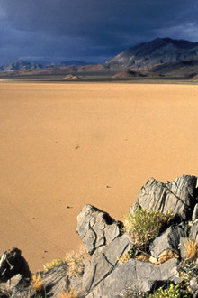 Life in Death Valley