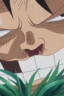 I'll Wait Here! Luffy vs. the Enraged Army!
