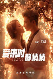 爱来时静悄悄 poster