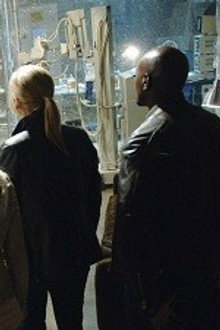 Devil in a Blue Dress