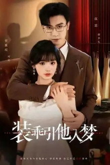 装乖引他入梦 poster