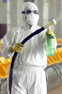 The Next Pandemic