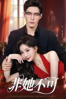 非她不可 poster