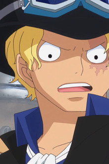 Flame Dragon King! Protect Luffy's Life!