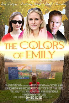 The Colors of Emily poster