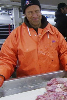 Floating Fish Factory