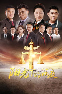 阳光下的法庭 poster