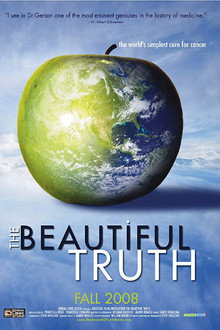 The Beautiful Truth poster