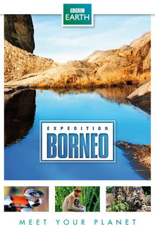 Expedition Borneo poster