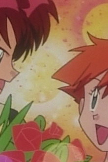 Misty Meets Her Match