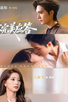 不完美应答 poster