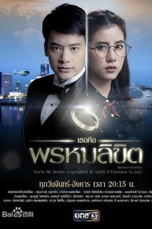 You're My Destiny poster