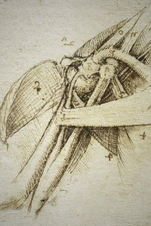 Decoding Da Vinci