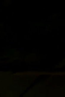 PHASE 16: Birds Without Wings