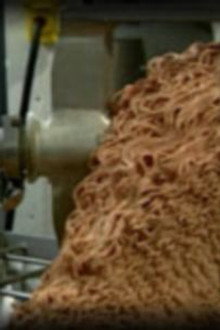 Modern Meat