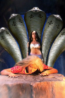 Bela Battles Jamini