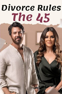 The 45 rules of divorce poster