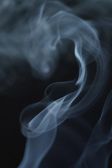 The Cannabis Question