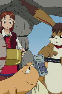 Holly's Million Gold Smile