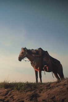 Episode 45