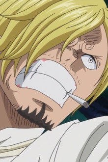 Save the Sunny! Fighting Bravely! Chopper and Brook!