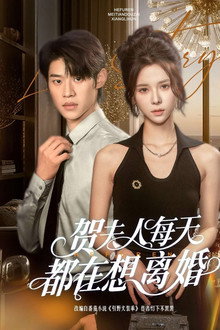 贺夫人每天都在想离婚 poster