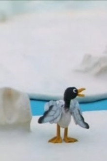 Pingu and the Seagull