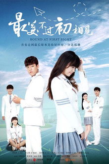 Bound at First Sight poster