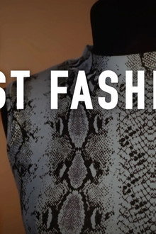 Fast Fashion