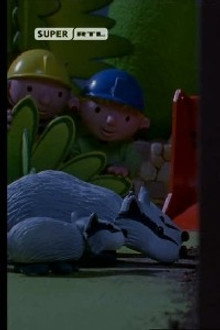 Bob and the Badgers