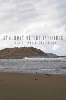 Symphony Of The Invisible poster